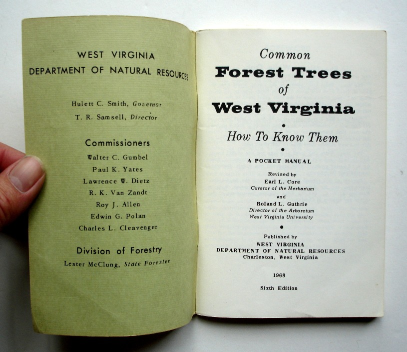 Common Forest Trees of West Virginia How to Know Them